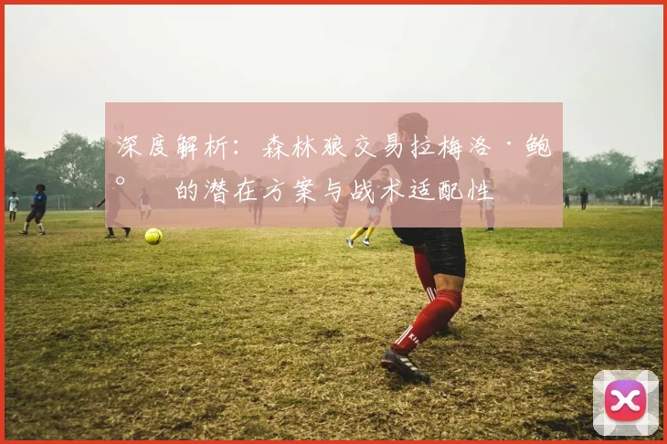 深度解析:森林狼交易拉梅洛·鲍尔的潜在方案与战术适配性