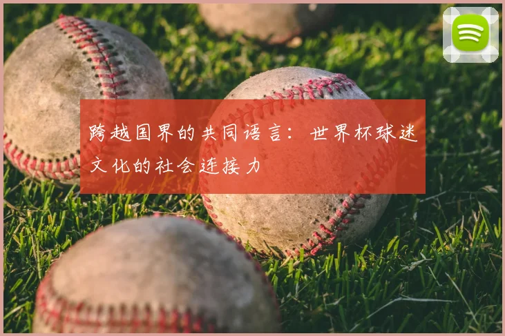 跨越国界的共同语言:世界杯球迷文化的社会连接力